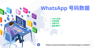 WhatsApp 号码数据