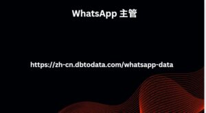 WhatsApp 主管