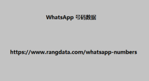 WhatsApp 号码数据