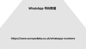 WhatsApp 号码数据