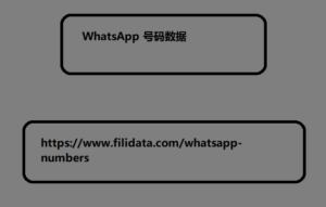 WhatsApp 号码数据